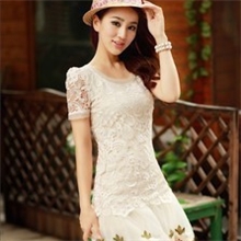 2013韩版新款夏装女装蕾丝公主裙水溶绣花网纱短袖修身连衣裙子