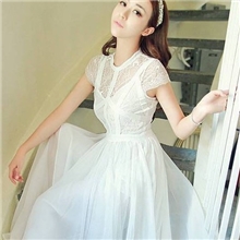 韩国代购新款2013睫毛蕾丝连衣裙超仙拖地雪纺连衣裙礼服长裙