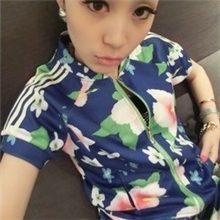女装2013新款明星款别致明星花色休闲套装短外套批发代理