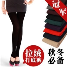 拉绒裤批发拉绒九分裤鄂尔多斯羊毛裤打底裤羊绒裤厂家批发