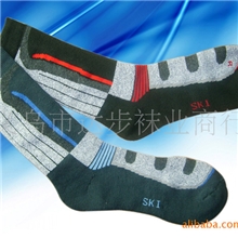 供应新款经典特色男女毛圈袜毛圈袜运动毛圈袜袜子
