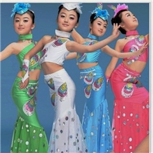2013最新款傣族舞蹈表演服肚皮舞孔雀舞演出服舞台演出表演服