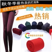 D2013最新款保暖裤批发加厚加绒秋冬天毛裤批发9色可选九分裤