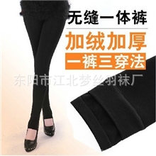 供应销售高密度锦纶无缝一体裤打底裤