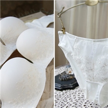 欧美外贸文胸聚拢下厚上薄刺绣半杯女士内衣文胸套装