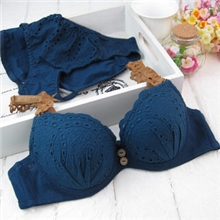 炫彩诗346文胸复古钮镂空纯棉可爱蕾丝肩带三排扣聚拢文胸套装