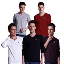 供应时尚新款FM男装经典款全棉V领长袖T恤5色厂家直销