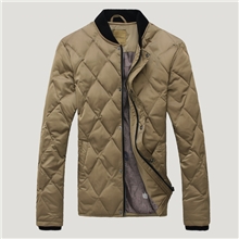 2013秋冬精品棉服时尚立领格纹压线男士外套棉衣