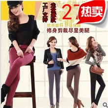 爆款2013秋冬新款加绒加厚铅笔裤韩版显瘦打底裤长裤大码女裤