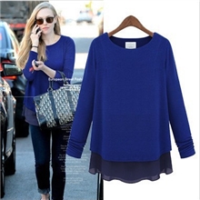 欧美斓佐2013秋冬飞翔鸟新款女装纯色T恤衫气质长袖高贵女式774