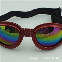 滑雪眼镜，宠物眼镜，摩托车风镜，户外运动眼镜