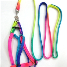 供应七彩宠物牵引绳，狗链，宠物牵引带.胸背带