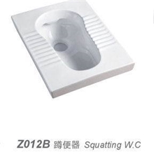 11.11双十一促销蹲便器卫生间蹲厕蹲坑蹲便Z012B【图】