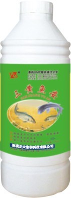 三黄鱼安杀菌消毒、快速渗透渔药批发渔药公司渔药最新报价