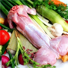 天恩兔业欢迎你来养殖獭兔