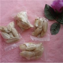 小包墨鱼骨小片墨鱼骨海螵鞘