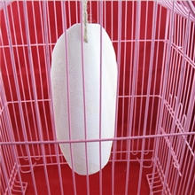 大整块脱盐墨鱼骨整片墨鱼骨