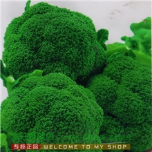 蔬果种子蔬菜种子绿菜花青花菜绿霸王西兰花种子约4克