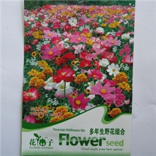 野花种子彩色袋装花卉种子多年生野花组合观花植物
