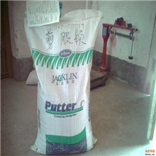 供应剪股颖G-4G-8等专业高尔夫球场别墅用高档草坪种子不修剪