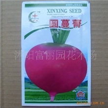 东北雌性红萝卜种子痛风病的天敌-东北雌性大红萝卜