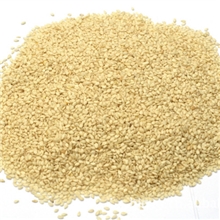 供应进口一级埃塞俄比亚水洗饱满无杂质白芝麻白芝麻仁批发