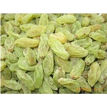 批发供应出口级新疆吐鲁番绿色纯天然箱装绿葡萄干新疆葡萄干
