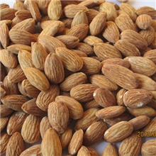 批发优质天然健康绿色美味箱装扁桃仁