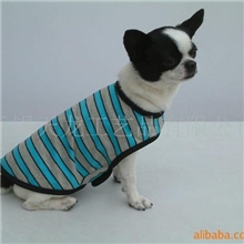 供应宠物服装-独片式彩条T恤