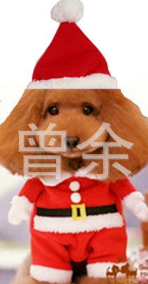 2013新款宠物圣诞装，狗狗圣诞老人大衣配帽子，衣服批发