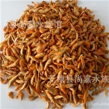 供应金钩虾晒干虾烘干虾冻干虾南极磷虾干等各种天然鱼饲料