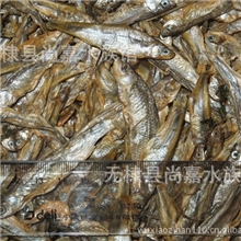 长期供应大型肉食鱼观赏鱼饲料冻干鱼干龙鱼饲料