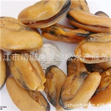 供应淡菜靖江名产大粒海产品干制色泽好推荐畅销淡菜