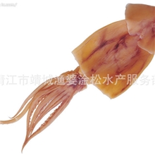 新品上市优质鱿鱼价美物廉厂家直销