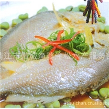 供应美味咸黄鱼价格合理欢迎选购