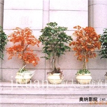 生产供应仿真树，小植物，盆景,装饰树