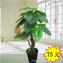 批发仿真植物仿真树落地假树田园摆放客厅装饰盆栽1.5米滴水观音