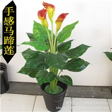 专业仿真植物批发假花落地盆栽客厅装饰手感花假树1米高马蹄莲