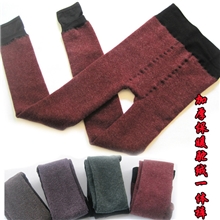 秋冬爆款保暖加厚羊驼绒无缝一体裤加绒踩脚打底裤保暖裤y300