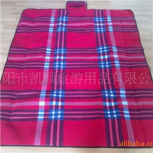 【供应】全新德国超大超宽时尚野营垫