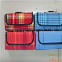 【供应】（新款）2011年儿童野餐垫