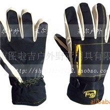 2010新热卖保暖手套/滑雪手套/出口欧美厂家直销