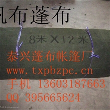 长期供应规格10S/4*10S/绿色帆布帆布面料（门帘帆布）