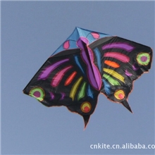 微风风筝动物风筝蝴蝶风筝3米大黑蝶