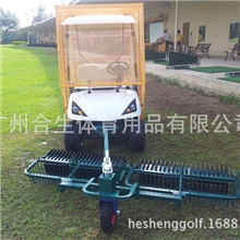 高尔夫捡球车高尔夫电动捡球车高尔夫观光车