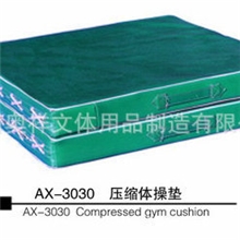 供应批发AX-3030仰卧起坐垫橡胶体操垫体操垫价格优惠
