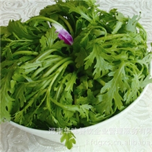 养生技术,加盟交流,连锁环境,餐饮流行,火锅加盟排行榜