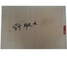 世博视画板绘图板美术用品画材8K4K2K对开全开