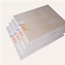 荣大轻便椴木画板、学生画板、写真画板、绘画画板hb-101b