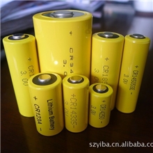 独家生产ER142501200MAH3.6V电表专用锂亚电池（图）